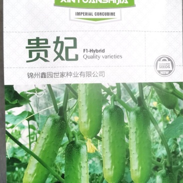 水果黄瓜种子贵妃甜脆嫩油绿全雌瓜码密产量高