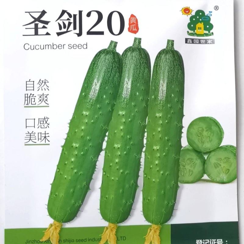 水果黄瓜种子圣剑20全雌稀刺瘤甜脆型结瓜多黄瓜味浓