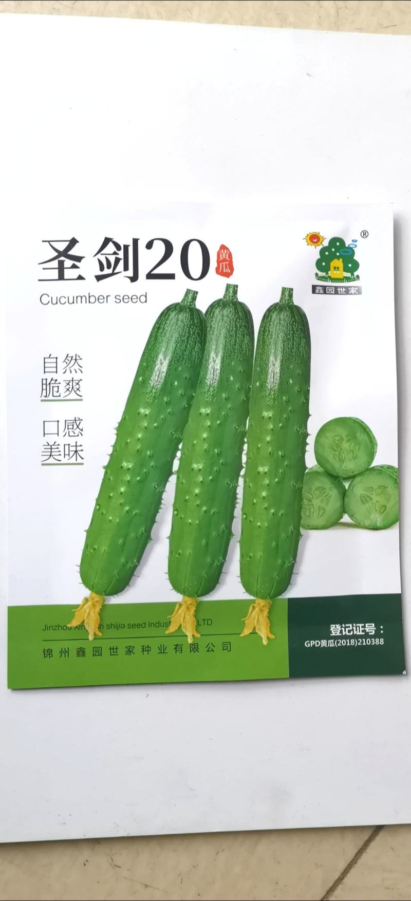 水果黄瓜种子圣剑20全雌稀刺瘤甜脆型结瓜多黄瓜味浓