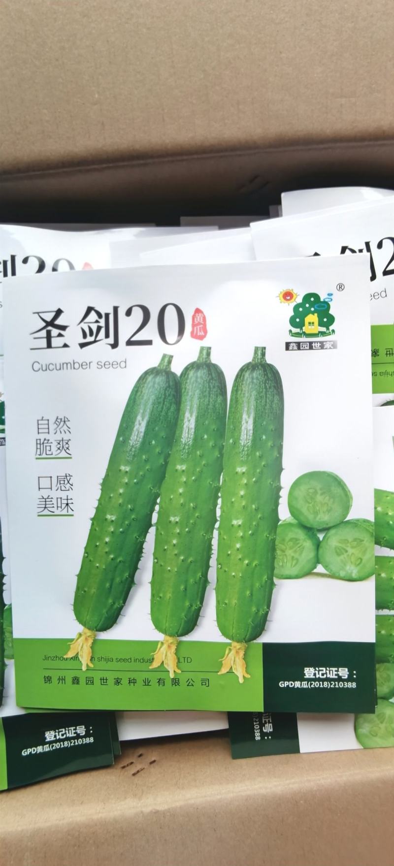 水果黄瓜种子圣剑20全雌稀刺瘤甜脆型结瓜多黄瓜味浓