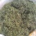 长白山特产正宗肾精草化石草嗷嗷叫