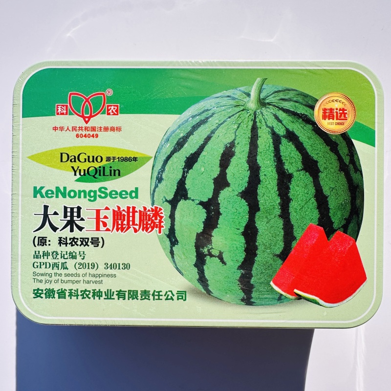 大果玉麒麟西瓜种子中晚熟大瓜脆甜西瓜种子水果种籽高抗枯萎