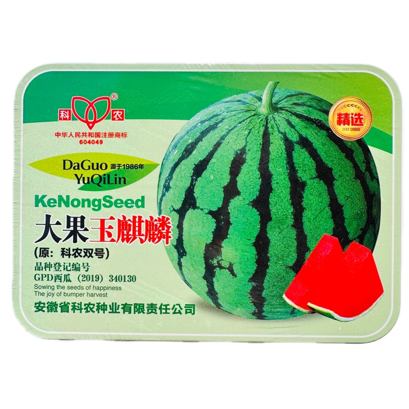 大果玉麒麟西瓜种子中晚熟大瓜脆甜西瓜种子水果种籽高抗枯萎