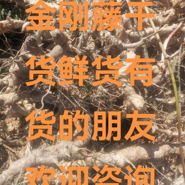 金刚藤（菝葜）