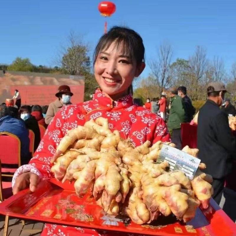 山东生姜供应【市场/出口/电商/零售】保质保量、坏烂包赔