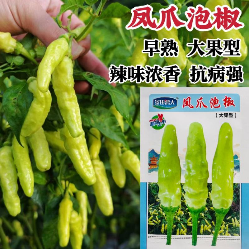 凤爪泡椒种子特辣小米辣种子早熟白米辣朝天椒种子辣香味浓