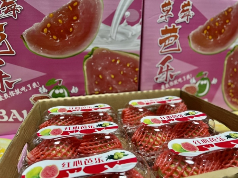 六合一礼盒芭乐**