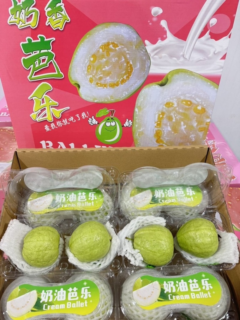 六合一礼盒芭乐**