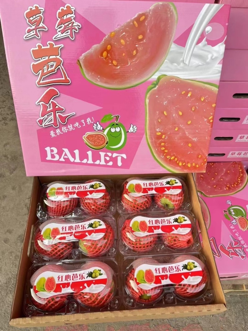 六合一礼盒芭乐**
