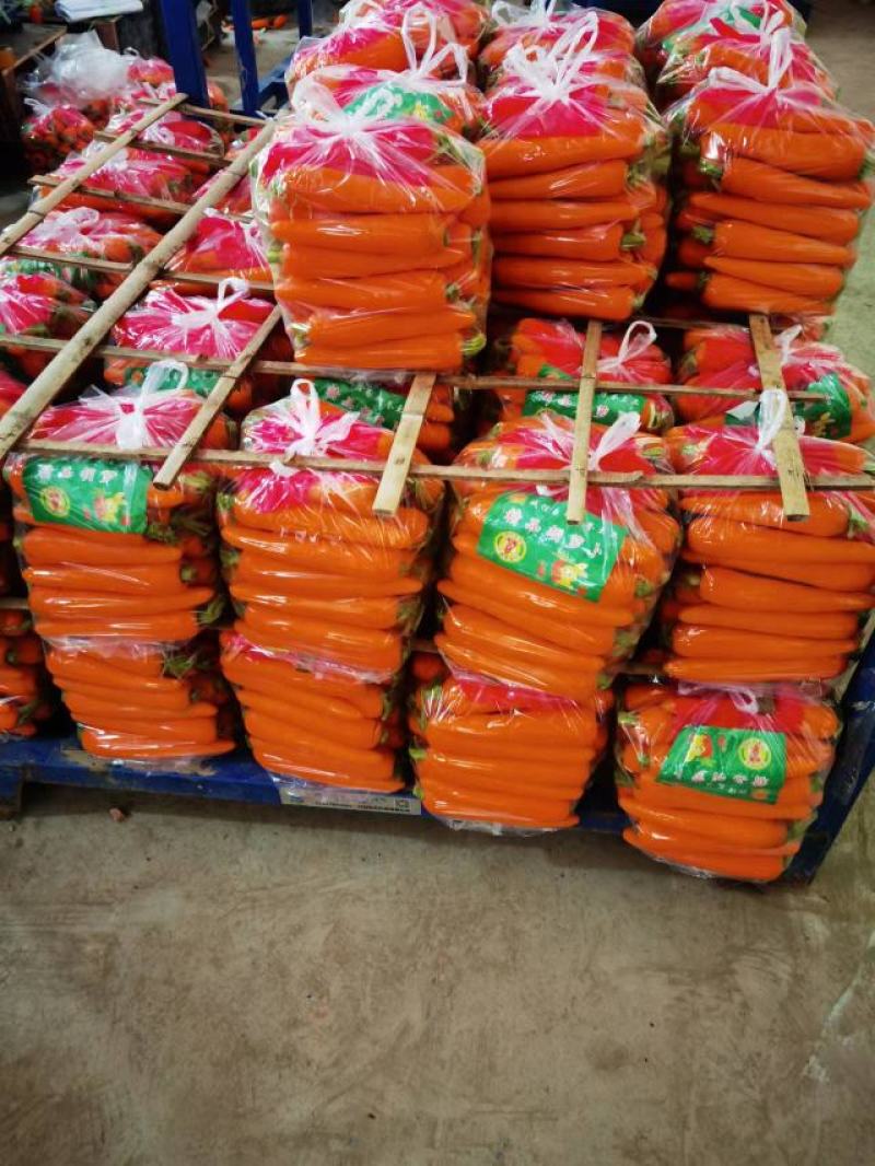 三红胡萝卜水洗，土货大量供应电商超市市场价格美丽
