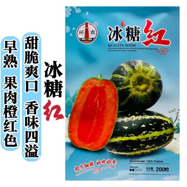 冰糖红甜瓜种子早熟甜掉牙香甜薄皮甜瓜种籽冰糖子甜瓜种子