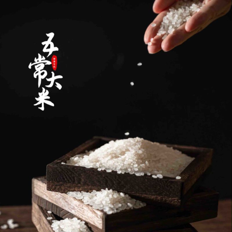 东北稻花香五常大米，一级品质保障厂家直销，欢迎订购