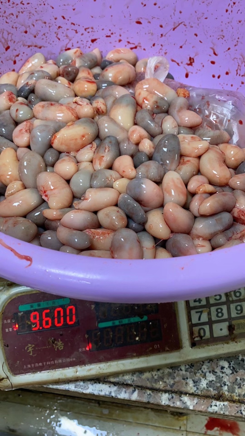 黑腰子。新鲜供应品质优质长期有货