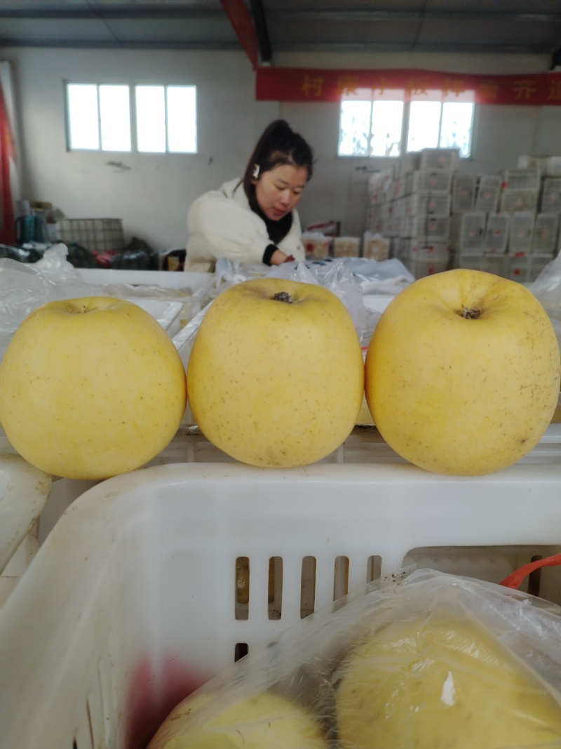 小苹果60#70#以上幼儿园餐厅企业食堂餐后用水果