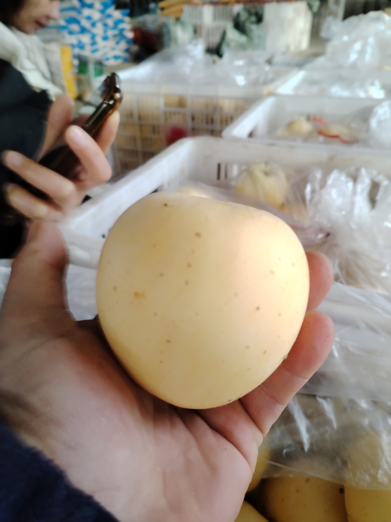 小苹果60#70#以上幼儿园餐厅企业食堂餐后用水果