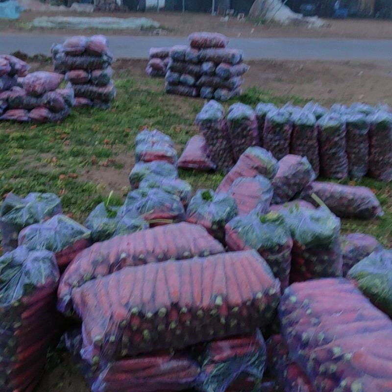 大量供应电商水洗北京包越南包各种包装质量有保障