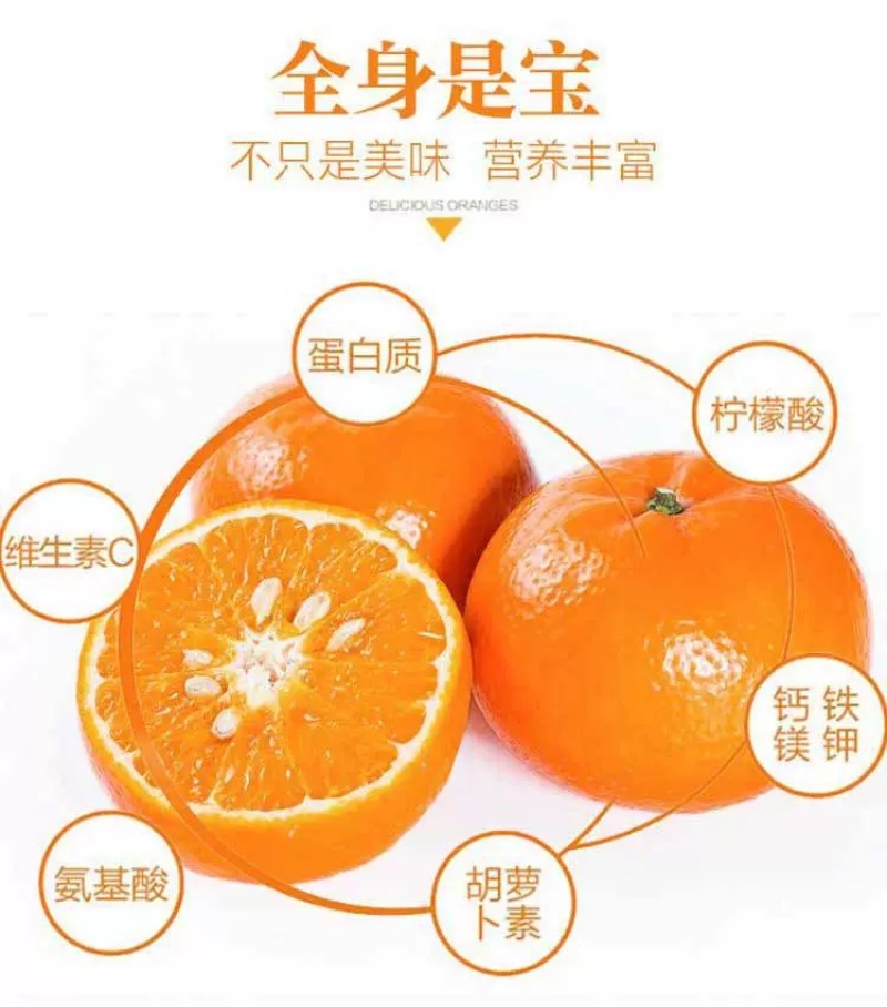广西武鸣沃柑支持直播一件代发团购批发【武鸣贵州两仓发货】