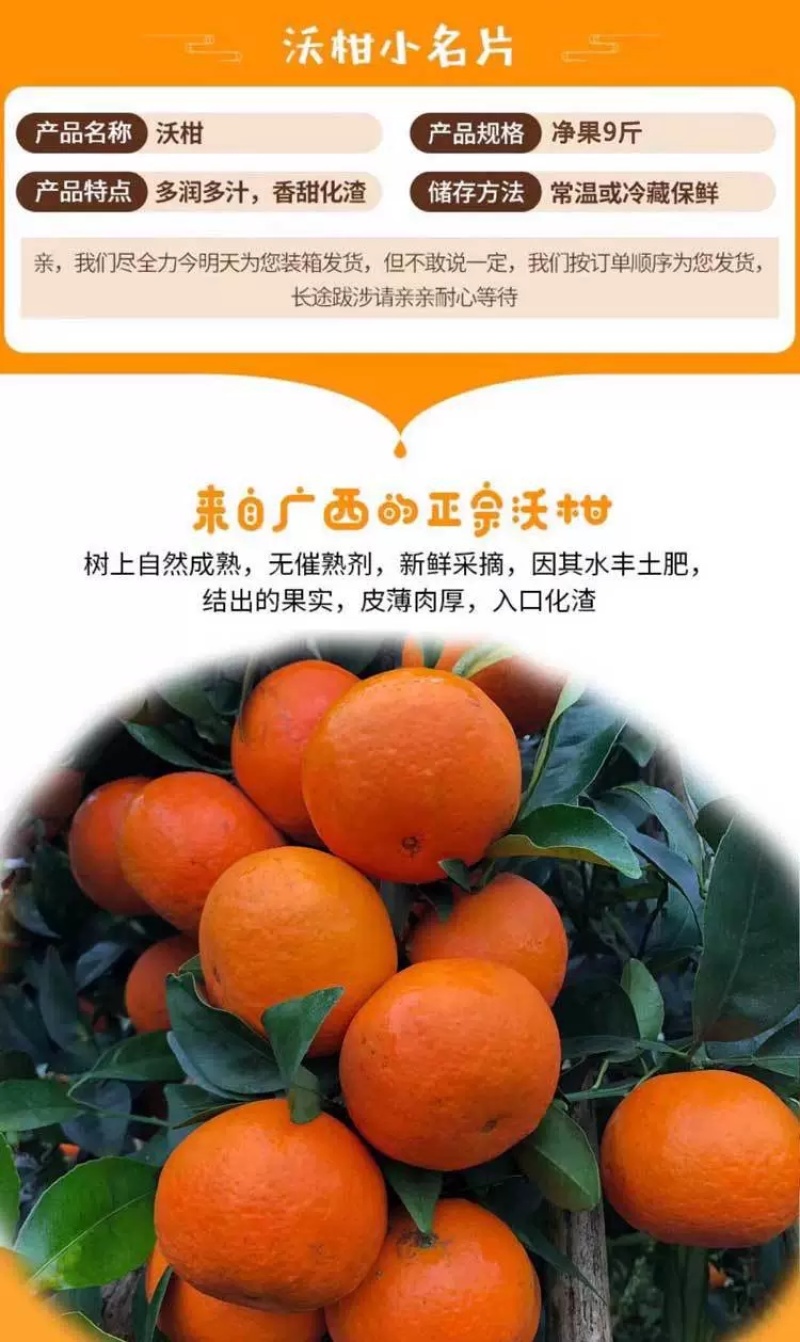 广西武鸣沃柑支持直播一件代发团购批发【武鸣贵州两仓发货】