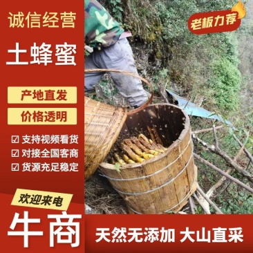 【优质】湘南蜂农一手货源品质保障不掺假无添加，高山野蜂蜜