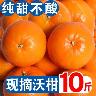广西武鸣沃柑产地代办一件代发一条龙服务直播提供场地