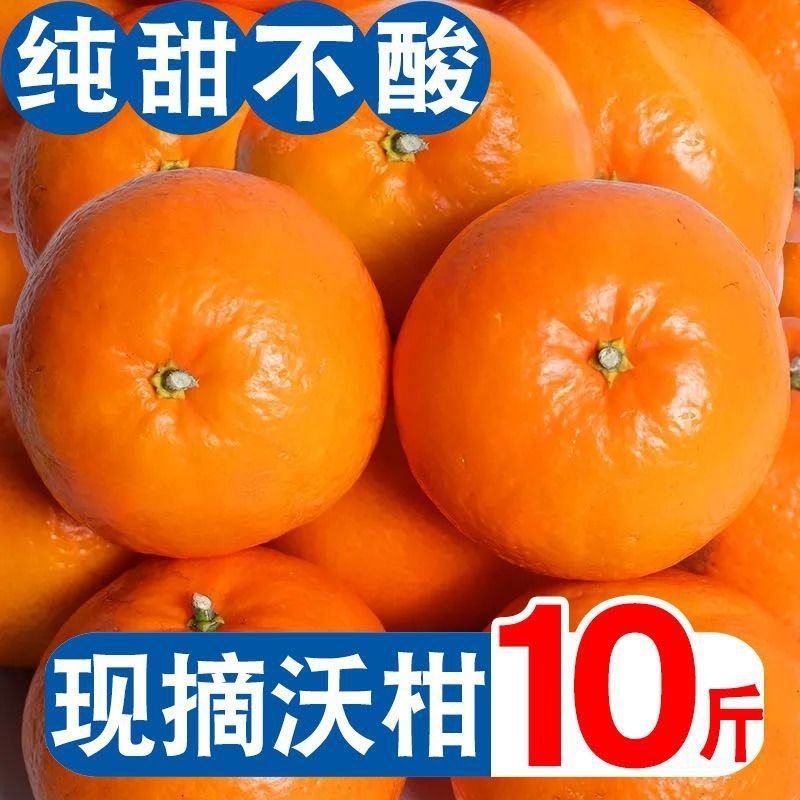广西武鸣沃柑产地代办一件代发一条龙服务直播提供场地