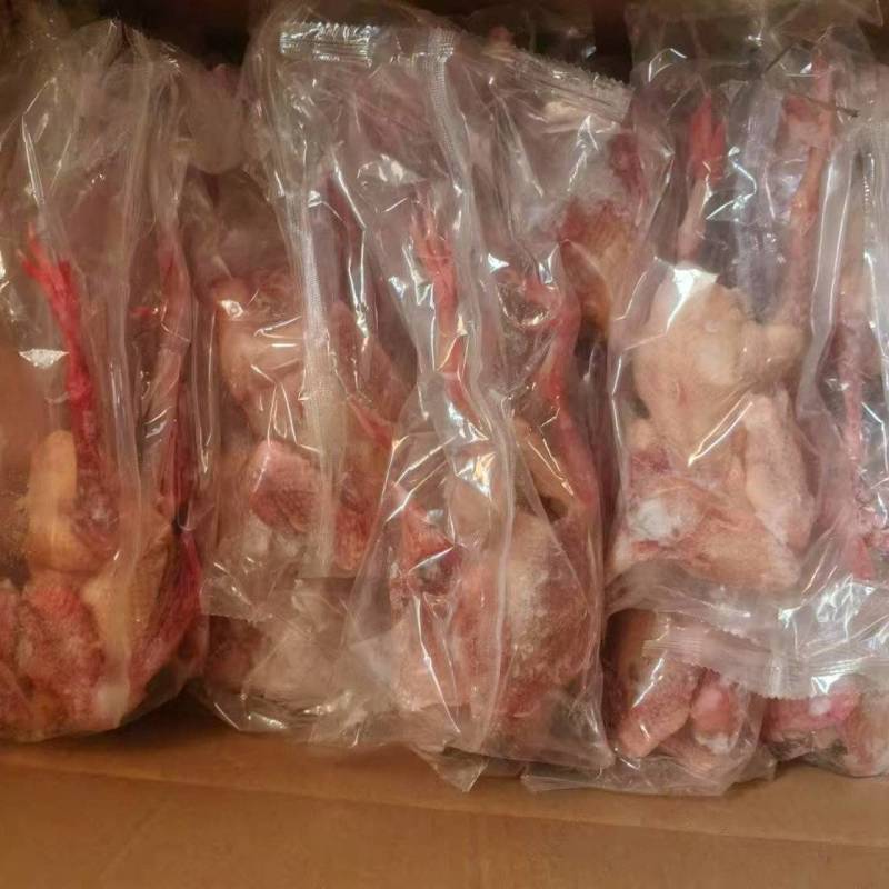 次！！品鸽子8块一只