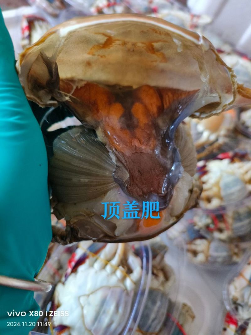 东港酱母蟹生呛梭子蟹自制！！！！！！！