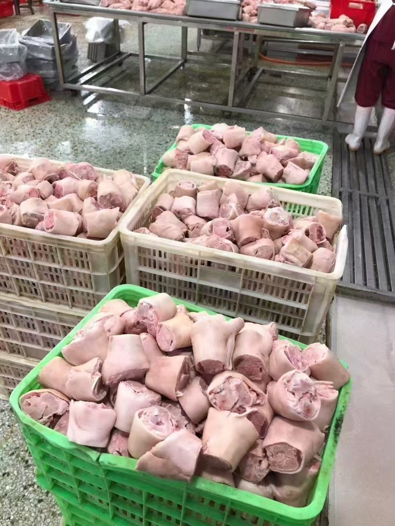 肥猪大脚圈