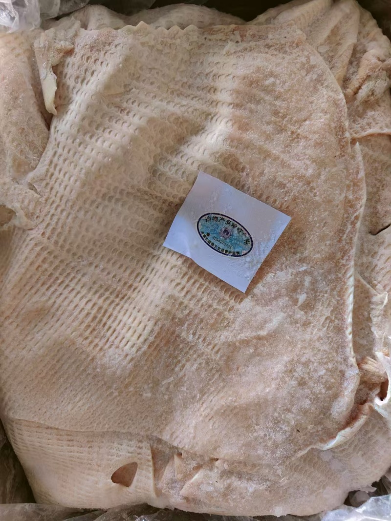 肥猪大皮脊皮