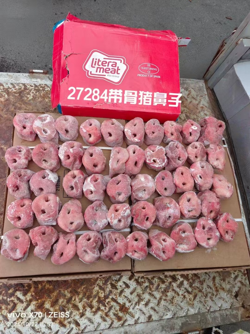 猪鼻子