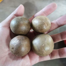 广西特产罗汉果中药材大果2个起批量大更优惠薄利多销