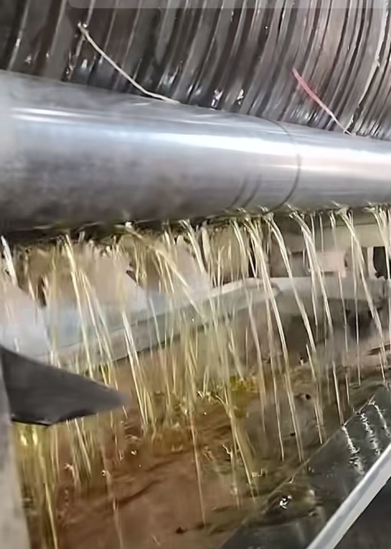 【山茶油】精品油茶籽油产地直供货源充足质量保证全国发货