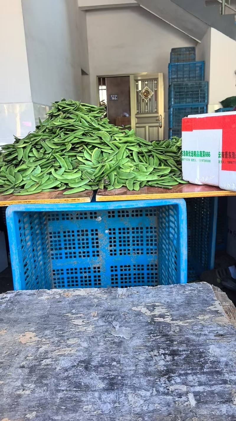 精品白玉豆量大从优质量保证对接全国欢迎咨询