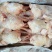 二级三黄鸡