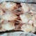 二级三黄鸡