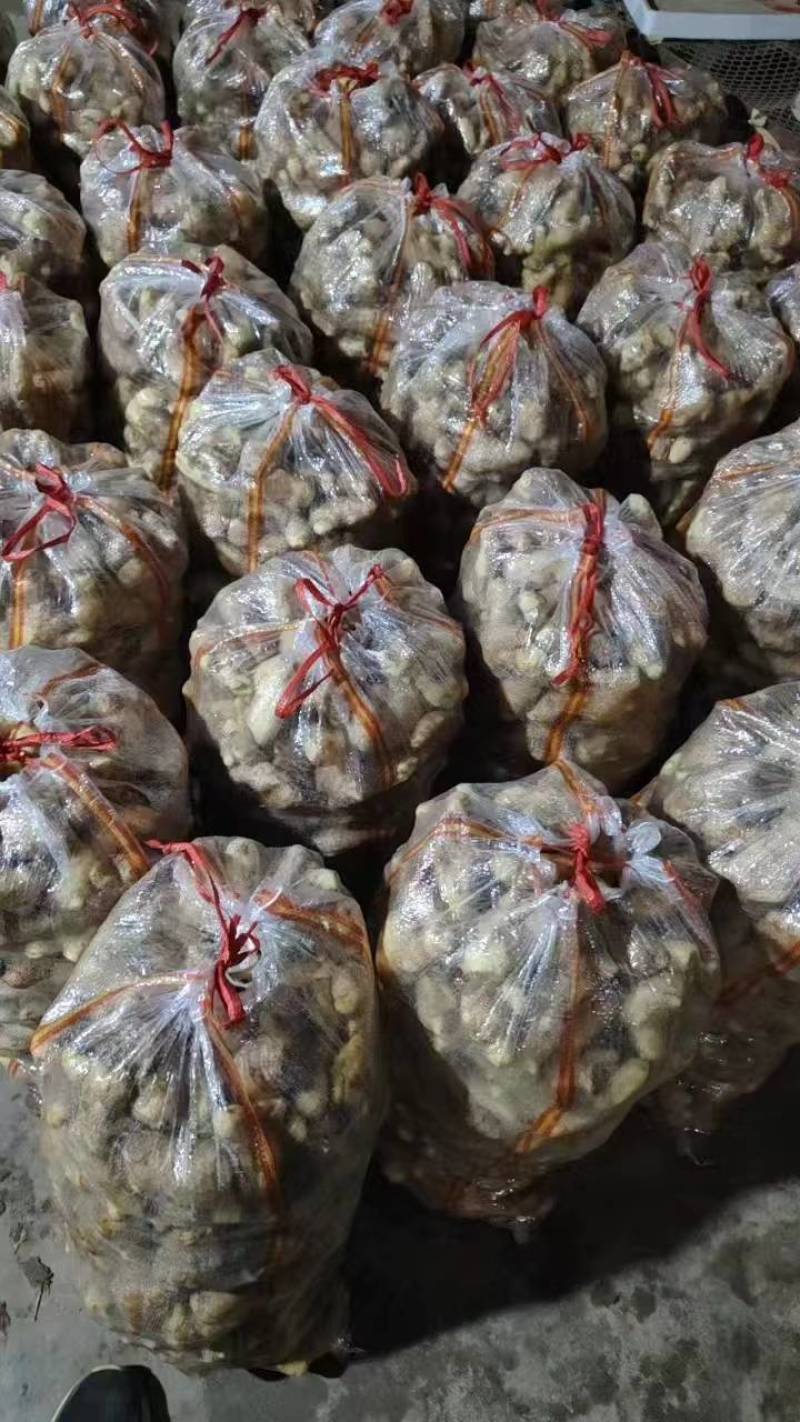 老姜母姜段水洗风干加工对接电商地摊食堂欢迎来电咨询