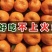 湖北枝江宜昌纯甜碰柑早熟芦柑无籽化渣汁水足产地直发