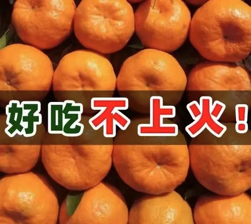 湖北枝江宜昌纯甜碰柑早熟芦柑无籽化渣汁水足产地直发