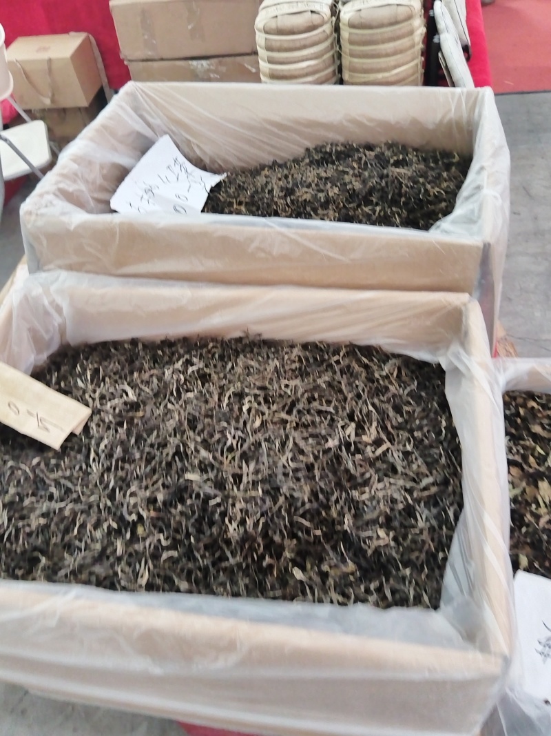 普洱茶厂家值供