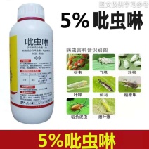 吡虫啉蚜虫，蓟马，粉虱，稻飞虱，象甲，绿叶婵，潜叶娥，