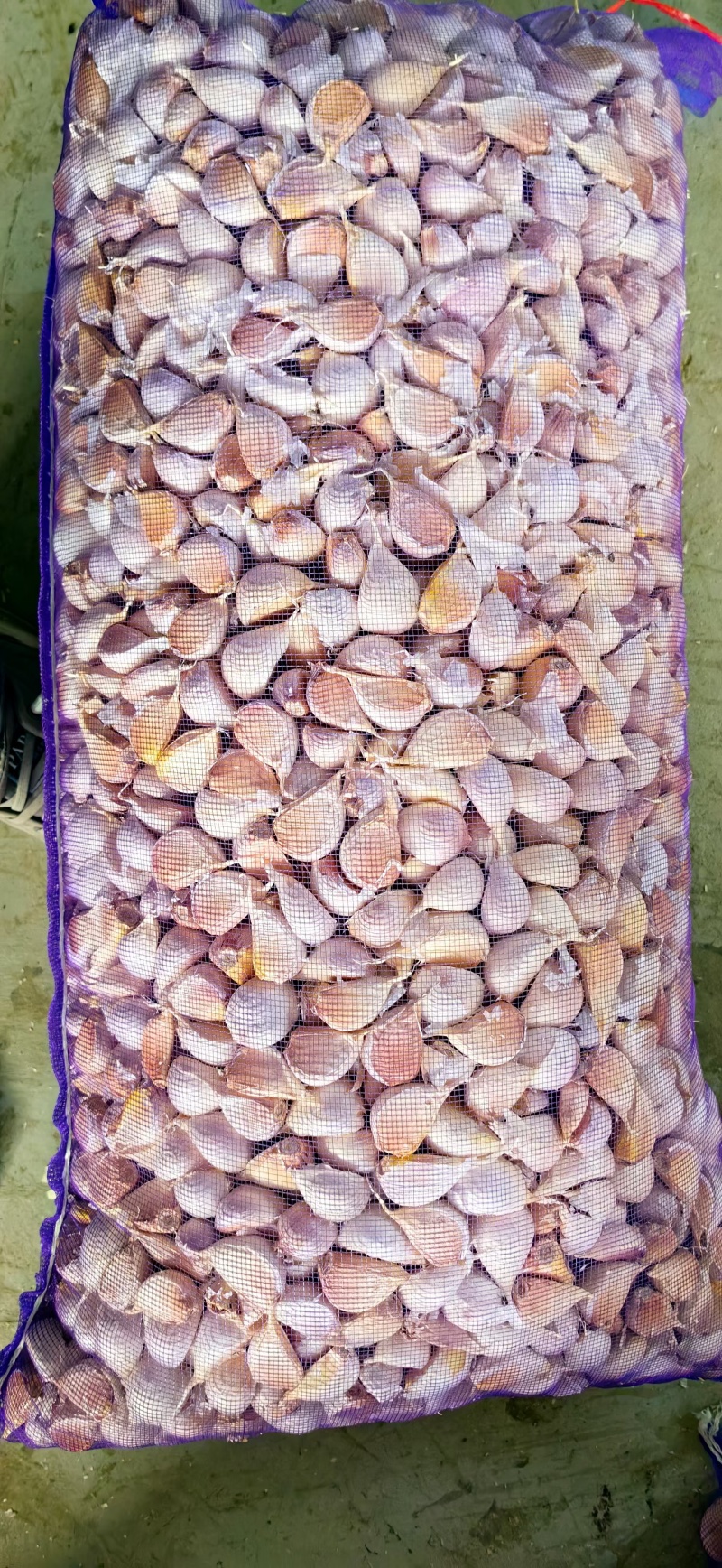 大蒜鲜蒜大量有货欢迎来电咨询洽谈业务