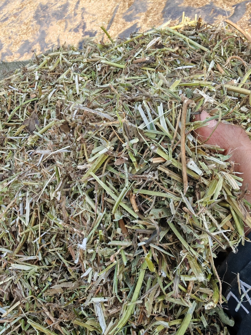2025年手摘花生秧无土无膜无霉质优价廉