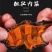 【正宗】红极参海参量大从优保质保量工厂直发干货