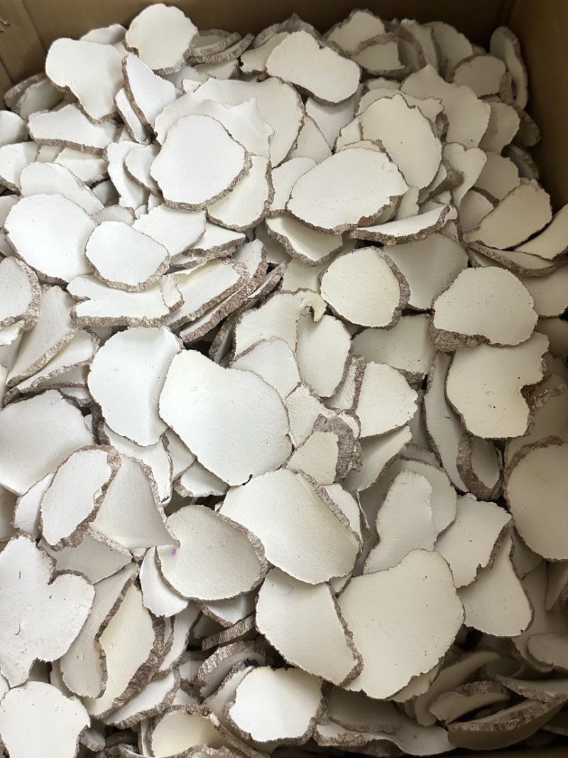 优质虎乳菌切片虎乳菌虎乳灵芝来袭价格优势