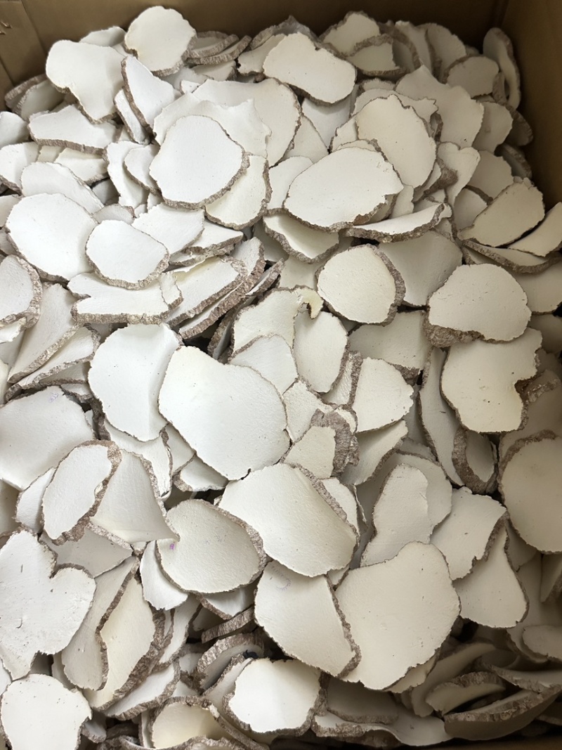 优质虎乳菌切片虎乳菌虎乳灵芝来袭价格优势