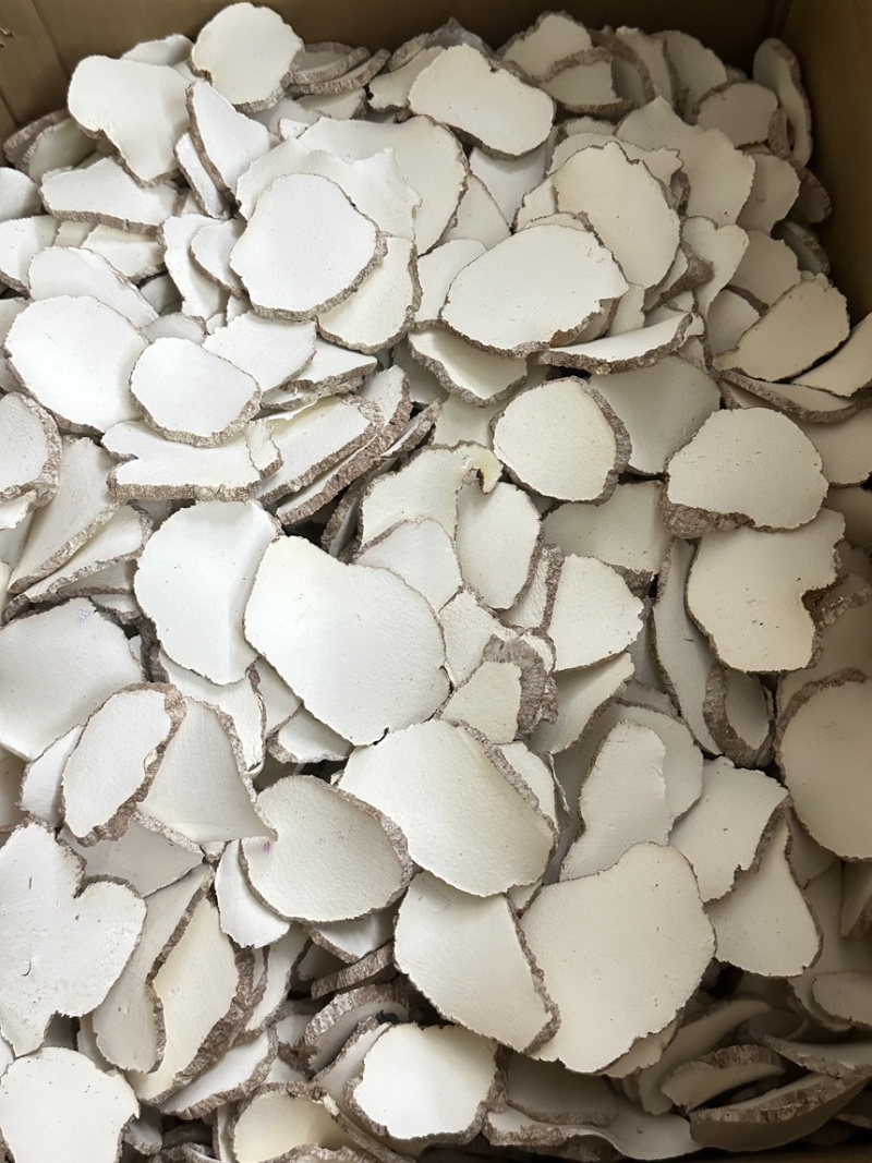 优质虎乳菌切片虎乳菌虎乳灵芝来袭价格优势