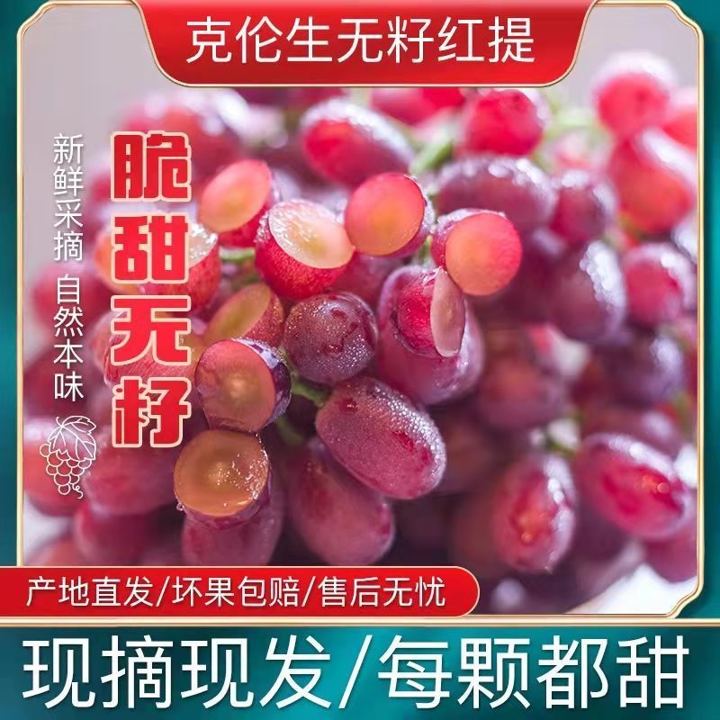 克伦生葡萄大量供应品质好有保障对接全国诚信经营欢迎致电！