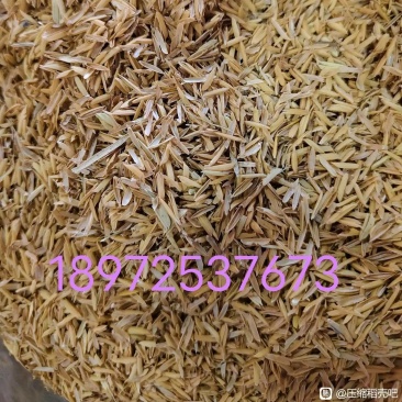 压缩稻壳（长壳）