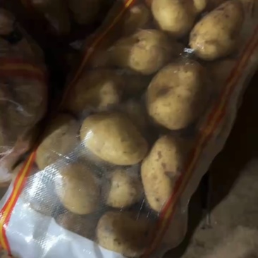 【甄选】黄心黄皮土豆各类品种齐全