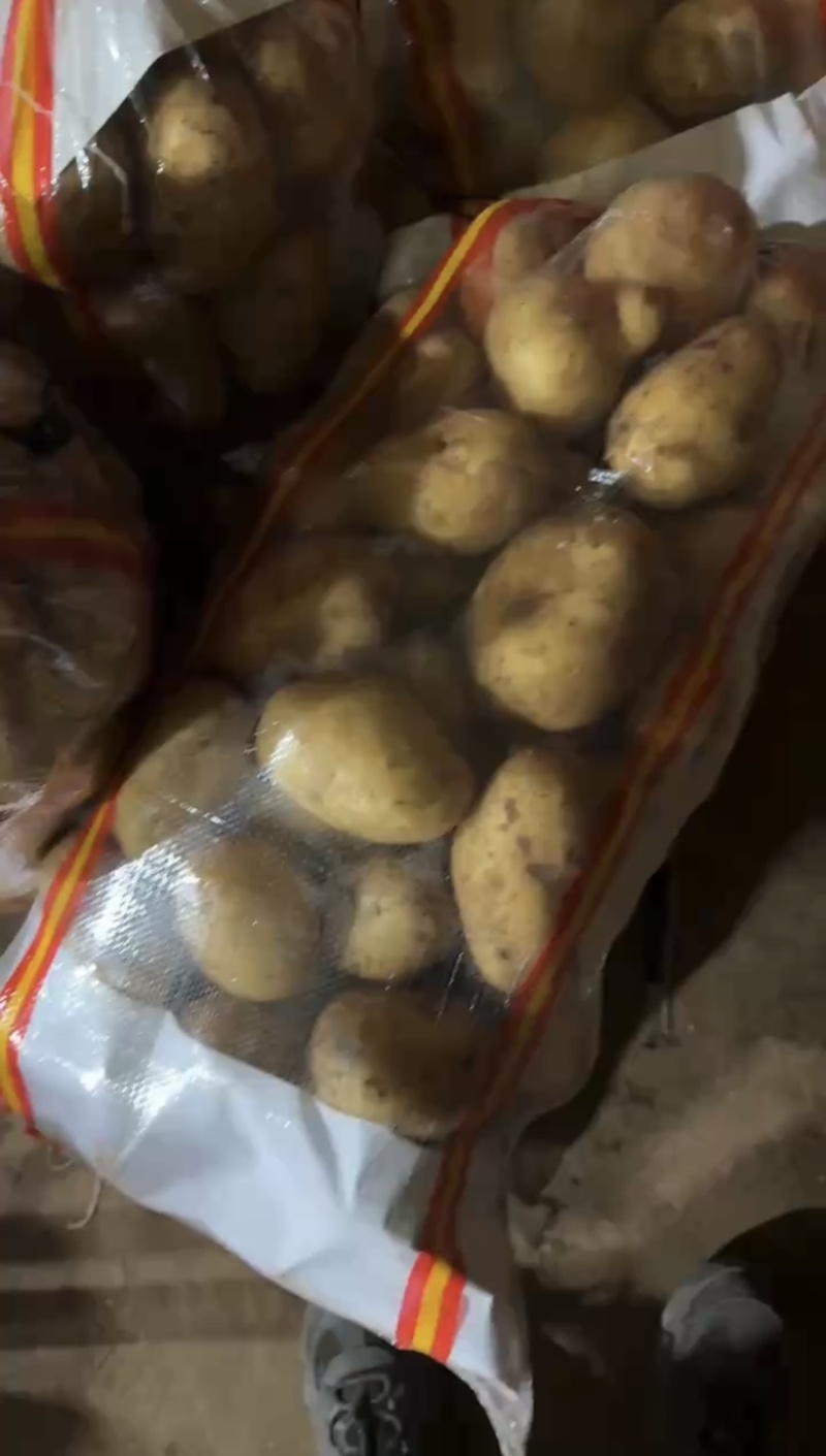 【甄选】黄心黄皮土豆各类品种齐全